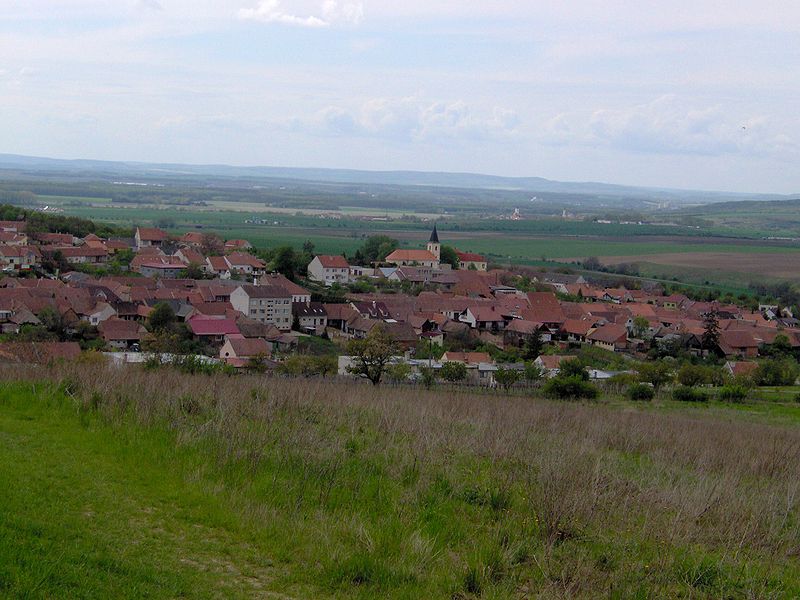 Vyklízení Křepice